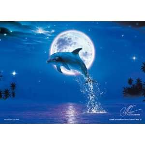  Japans Jigsaw Puzzle Moonlight Dolphin 300 Small Pieces 