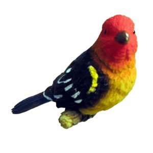  Fly Thru   Western Tanager