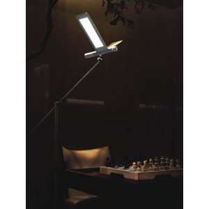  Seagull LED Floor Lamp