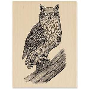  Sketched Owl   Rubber Stamps Arts, Crafts & Sewing