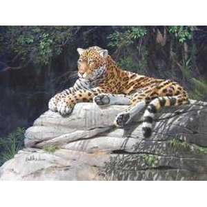 Jaguar on Rock artist Don Balke animal prints