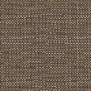  Trespass 816 by Kravet Contract Fabric