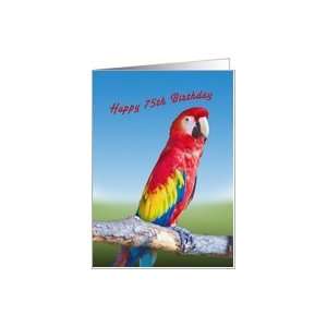  Birthday, 75th, Macaw Parrot Card Toys & Games
