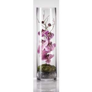  5.5 X 23.5 CYLINDER VASE BB