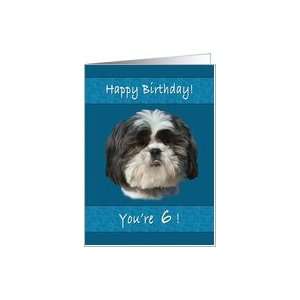  Birthday, 6th, Shih Tzu Dog Card Toys & Games