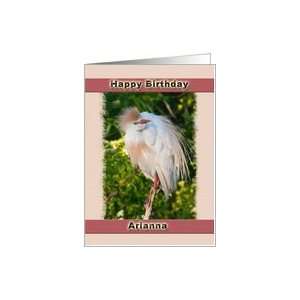  Birthday Card for Arianna with Cattle Egret Card Health 