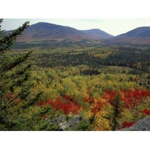 Fall Colors in Wassataquoik Valley, Northern Hardwood Forest, Maine 