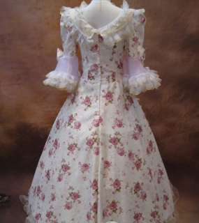 Marie Antoinette FRENCH 18TH CENTURY VICTORIAN DRESS  