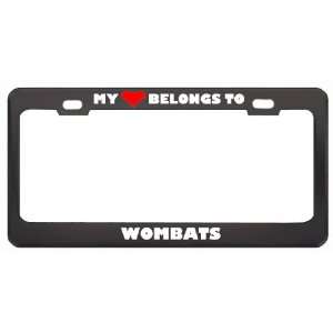 My Heart Belongs To Wombats Animals Metal License Plate Frame Holder 