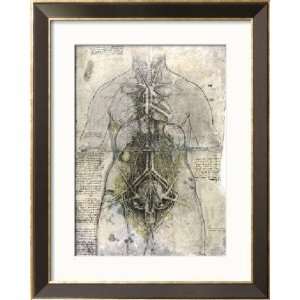  Anatomy Main Organs and Artery System of a Woman, Framed 