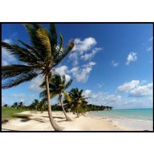  Tropical Beach Postage