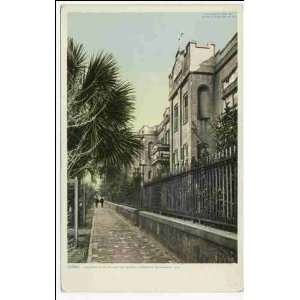   Reprint Convent, Sisters of our Lady of Mercy, Savannah, Ga 1898 1931