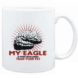   Eagle is more intelligent than your pet  Animals