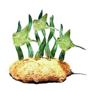  Triple Green Stingray Glass Sculpture (Green Reeds) on Coquina Rock 