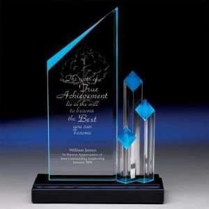  Successories Towering Achievement Award
