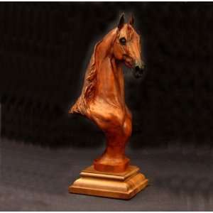  Saddlebred   Gaited