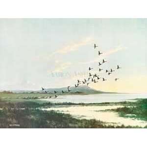     Greylags Taking Off   Artist Wilfred Bailey  Poster Size 18 X 24