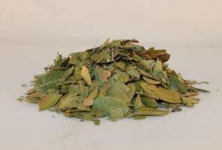Native American BEARBERRY Uva Ursi Botanical Smudge Sage Herb 1 Ounce 