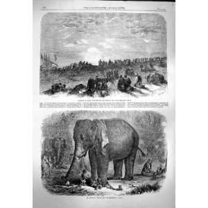   1863 ELEPHANT CHILDREN INDIA GUEBERS WORSHIPPING SUN