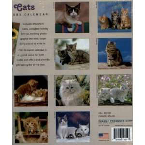  Kittens and Cats 16 Month 2005 Calendar 