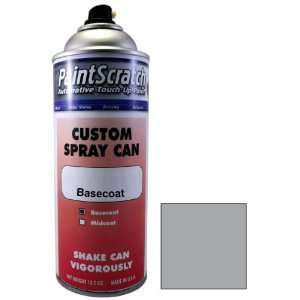  12.5 Oz. Spray Can of Silver Stone Metallic Touch Up Paint 