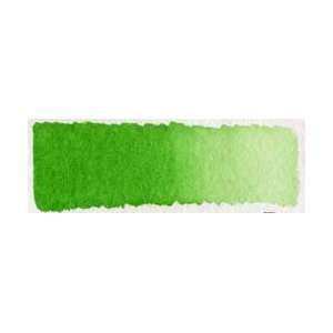  Schmincke Sap Green 1/2 pan watercolor Arts, Crafts 