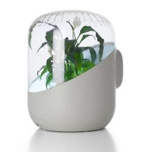  ANDREA Plant based Air Purifier (White)