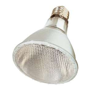   PAR30 Medium Base Light Bulb with Long Neck WFL 50 Beam Pattern, Clear