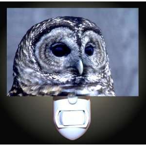 Snowy Owl Decorative Night Light