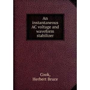   AC voltage and waveform stabilizer. Herbert Bruce Cook Books