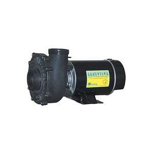  Waterway 4.5hp 230v 2 Speed Executive 48 Pump   2in Intake 