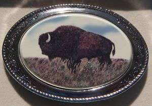   Barlow Scrimshaw Buffalo Bison Silver Made in USA Western Carved 621