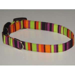  Black Purple Green Orange Halloween Stripes Dog Collar X Small 1/2 