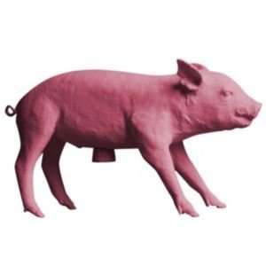 Bank in the Form of a Pig by Harry Allen for Areaware  R236309 Color 