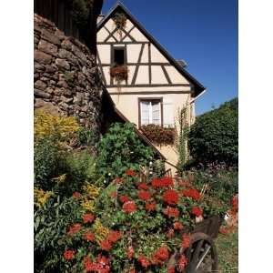 Timbered House and Flower Filled Cart, Riquewihr, Haut Rhin, Alsace 