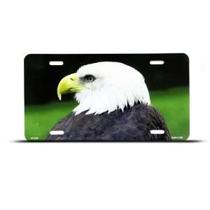  Eagle Green Bird Novelty Airbrushed Metal License Plate 