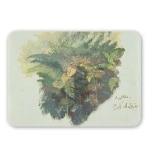  A Study of Ferns, Citivella, 1842, (oil on   Mouse Mat 