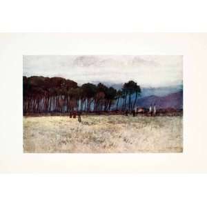   Goff Mountains Viareggio Forest   Original Color Print