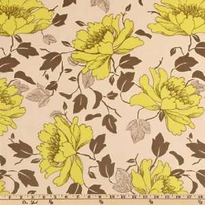  44 Wide Amy Butler Lotus Tree Peony Sand Fabric By The 