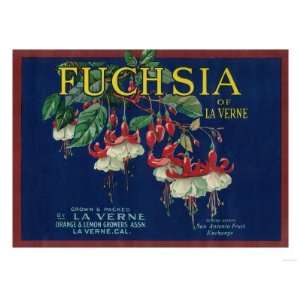  Fuchsia Lemon Label   La Verne, CA Premium Poster Print 