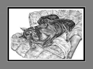 Dog Breed Art