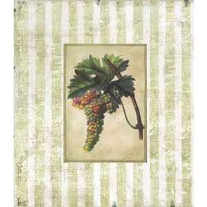  Napa Varietal II by Susan Davies. Size 20 inches width by 