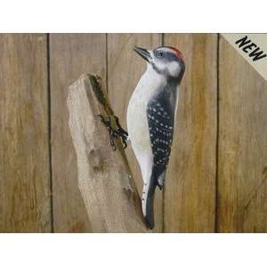  Adventure Marketing Downy Woodpecker Backyard Carving Hand 