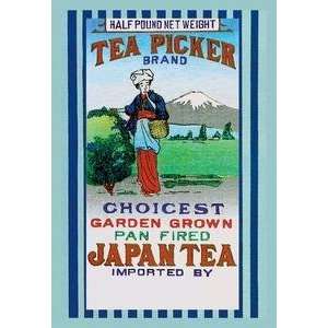 Vintage Art Tea Picker Brand   10430 9