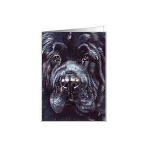  Black Newfoundland Dog Breed Close up Painting Portrait 