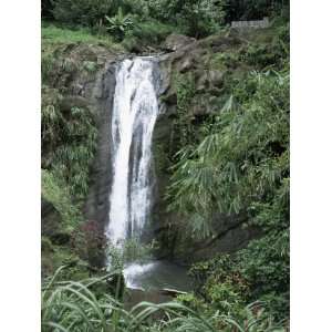  Concord Waterfall, Grenada, Windward Islands, West Indies 