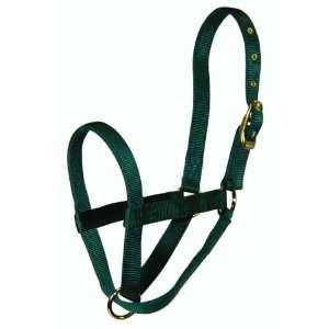  Hamilton 1 Yearling turnout Halter, Dark Green Pet 