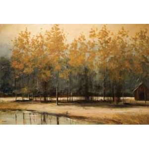  Thomas Andrew 36W by 24H  Serenity CANVAS Edge #4 1 1 
