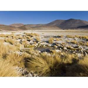  Altiplano, Los Flamencos National Reserve, Atacama Desert 