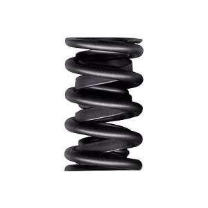  K Motion K 1000 1.625 OD VALVE SPRINGS Automotive